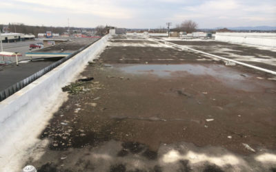 What Does Flat Roof Solutions Charge for Repairs?