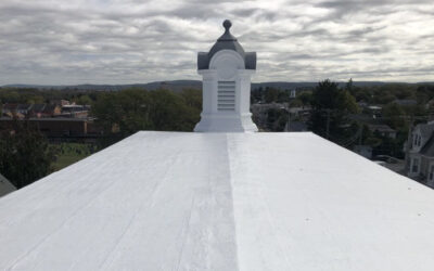 White or Colored Flat Roofs: Efficiency or Aesthetics