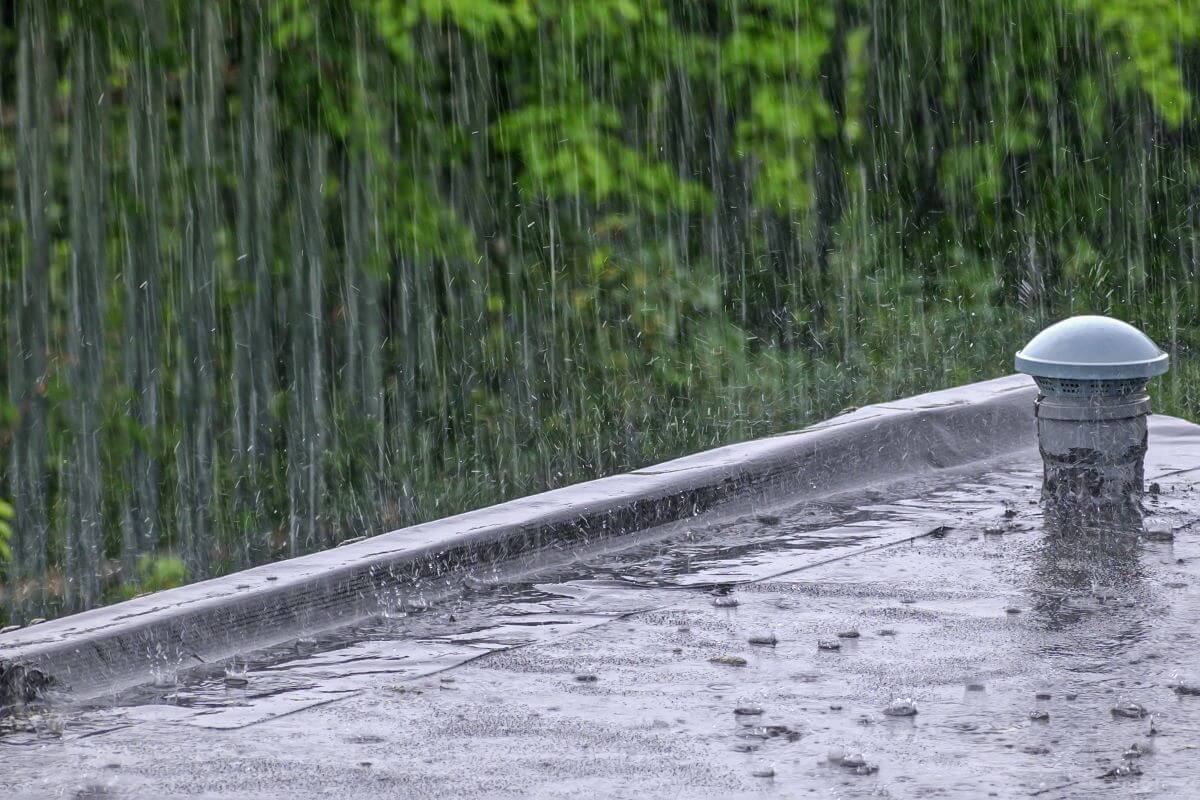 Flat Roof in the Pouring Rain with Lush Green Background | getflatroofing.com