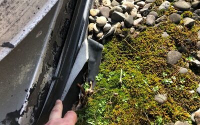 Is Moss On a Commercial Flat Roof Bad?