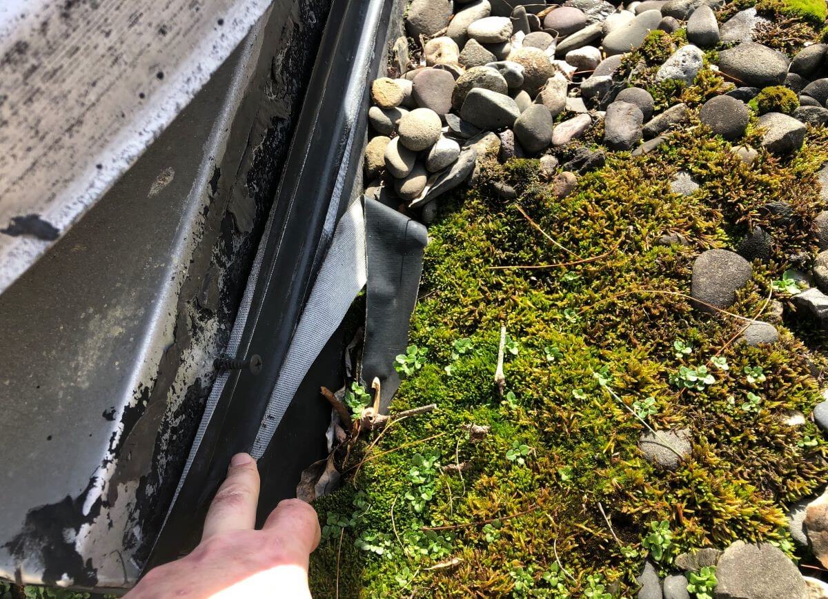 Moss shown on a Commercial Flat Roof | getflatroofing.com