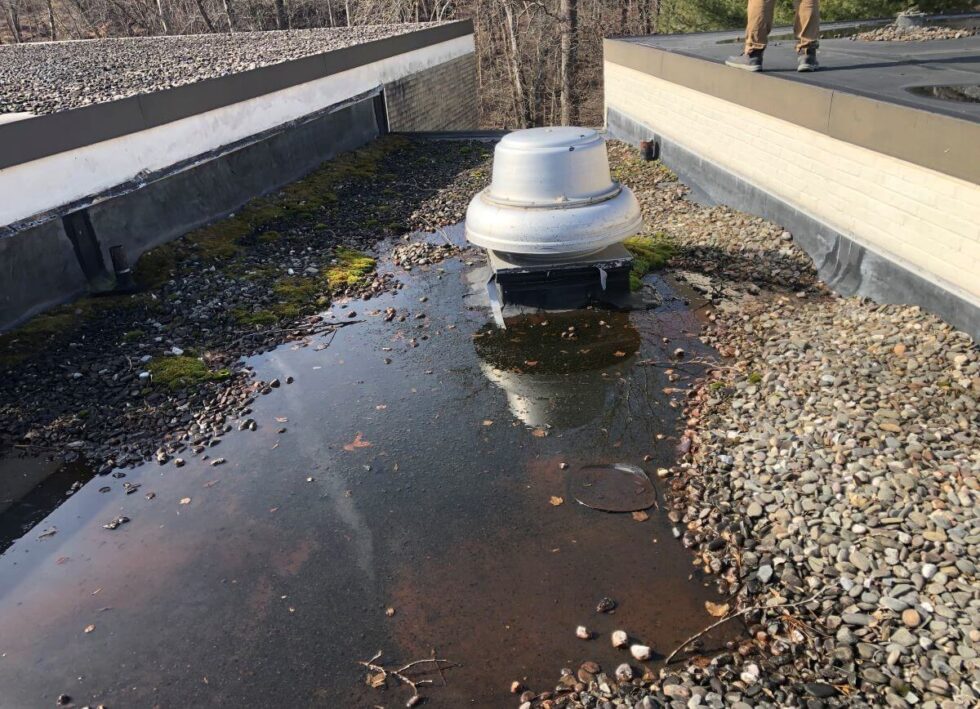 Is Moss On a Commercial Flat Roof Bad?