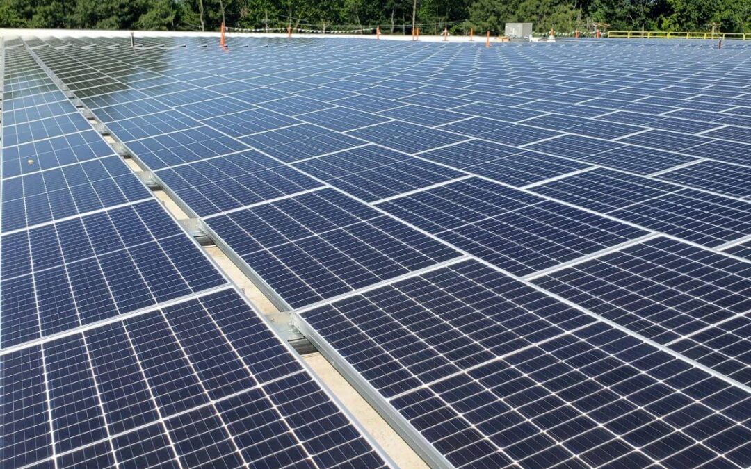 Commercial Flat Roof-Mounted Solar Panel Systems: Questions to Ask