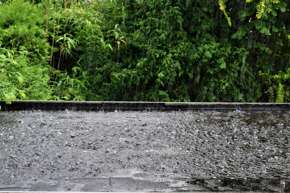 Heavy Rain on Commercial Flat Roof 