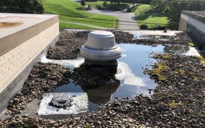 Drainage Systems Commonly Seen on Commercial Flat Roofs