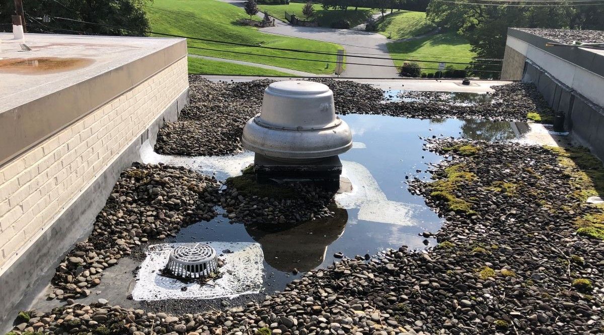 Water Seen Pooling on Commercial Flat Roof | Flat Roof Solutions